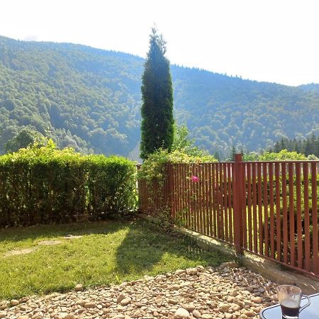 Belleview Garden Studio Leilighet Sinaia Eksteriør bilde