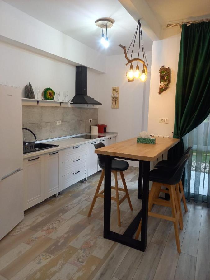 Belleview Garden Studio Leilighet Sinaia Eksteriør bilde