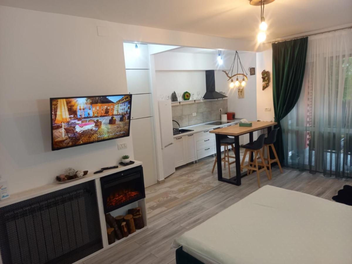 Belleview Garden Studio Leilighet Sinaia Eksteriør bilde