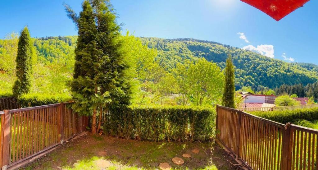 Belleview Garden Studio Leilighet Sinaia Eksteriør bilde